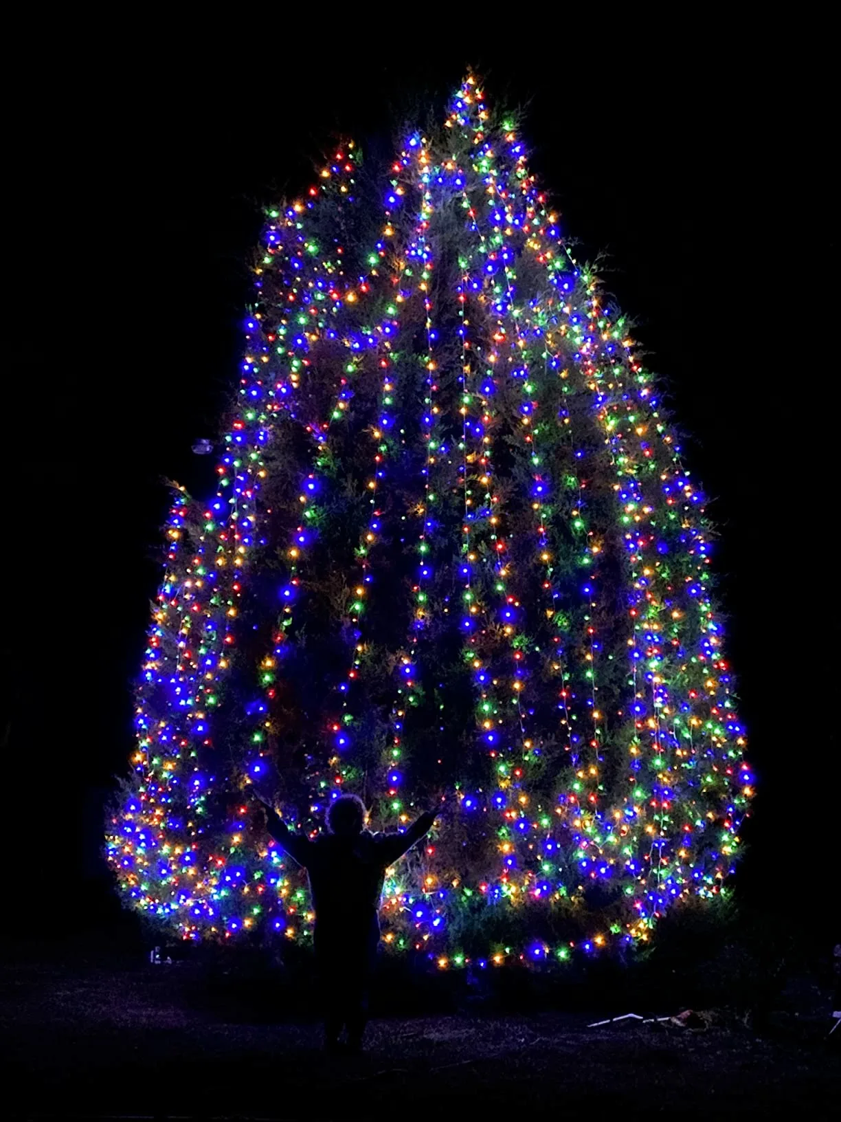 Colorful Stringlights Tree Large Dark Outdoor Lights For Christmas