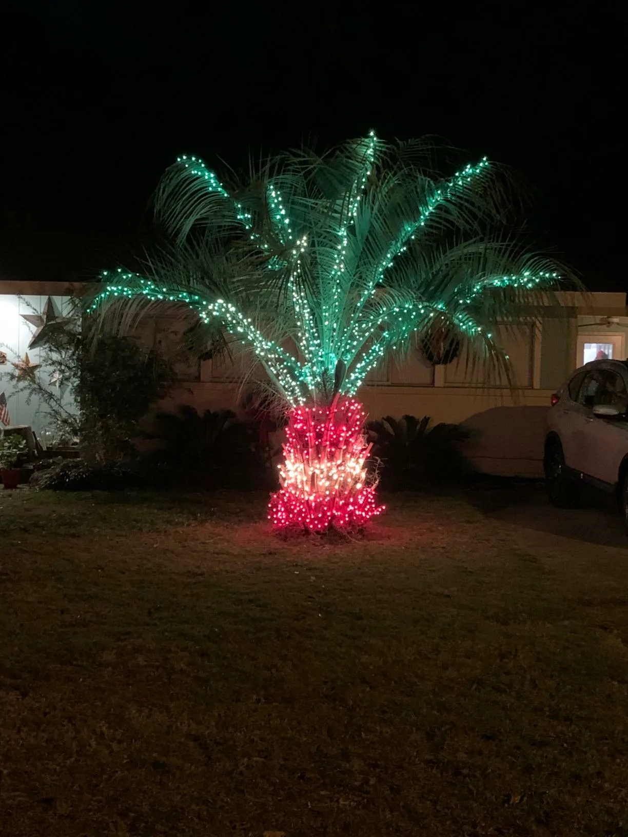 Green Red Stringlights Palm Tree Christmas Lights Decor