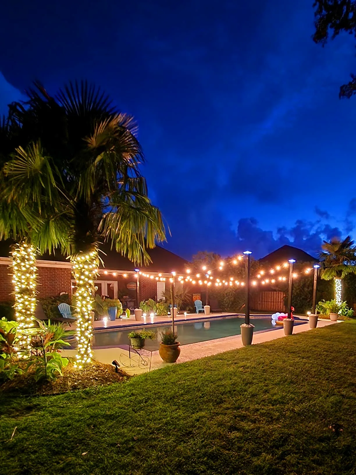 Warm Stringlights Palm Trees Pool Night Sky Lights For Outdoor Party