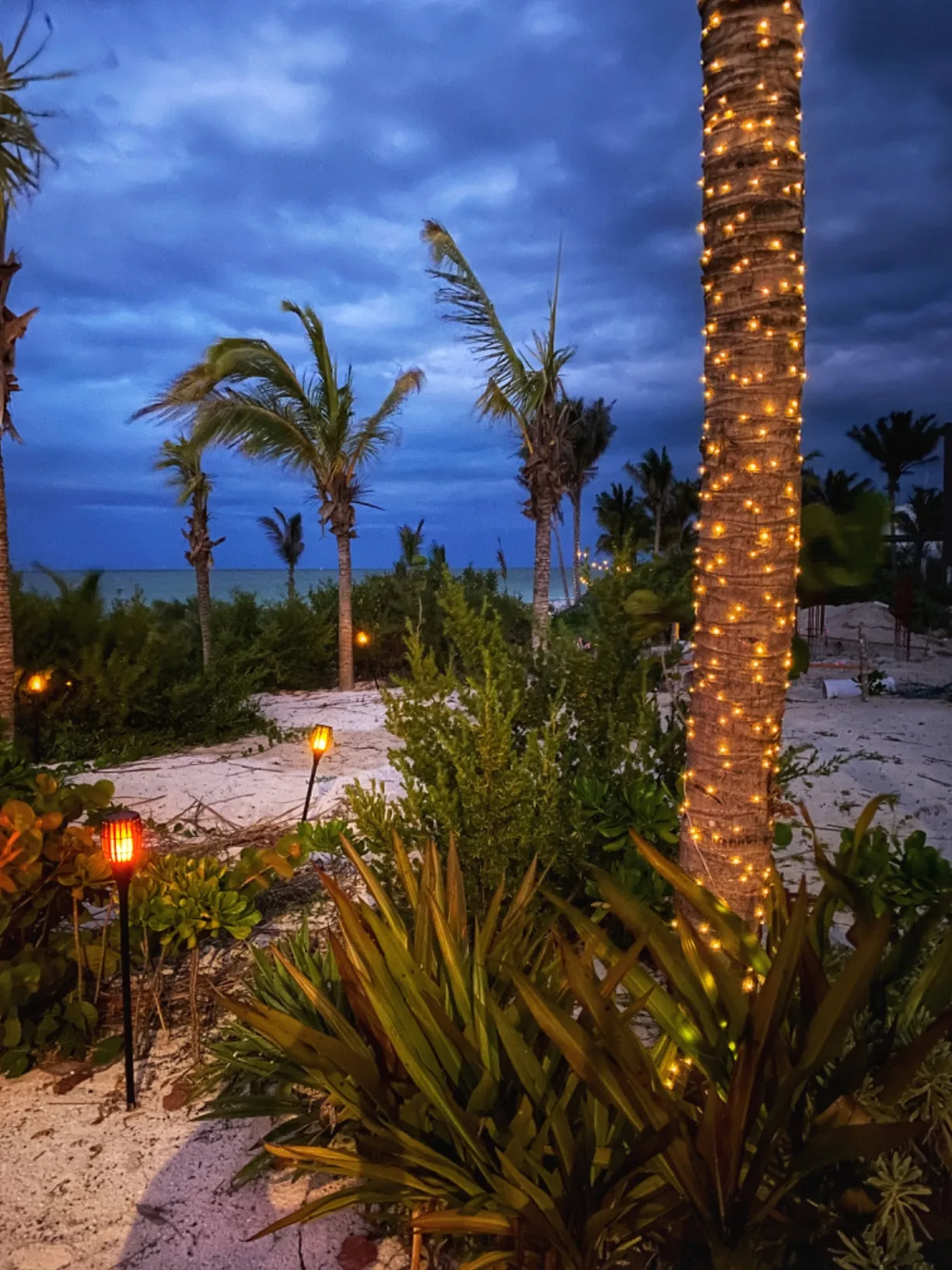 Warm Stringlights Palm Trees Sand Led Torches Sky Bottom Angle View Outdoor Lights For Wedding