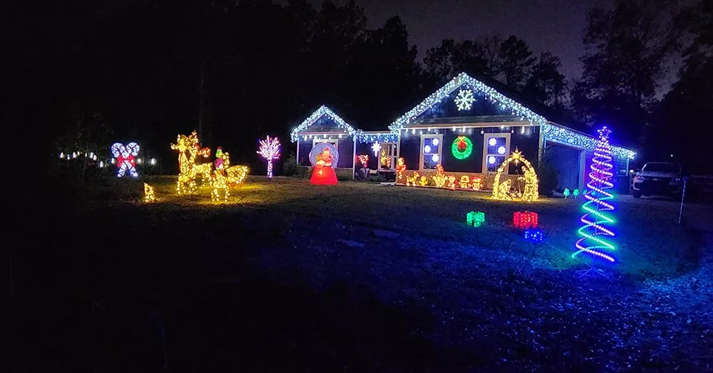 Outdoor Christmas Lights Color Changing String Lights On Garden And Roof