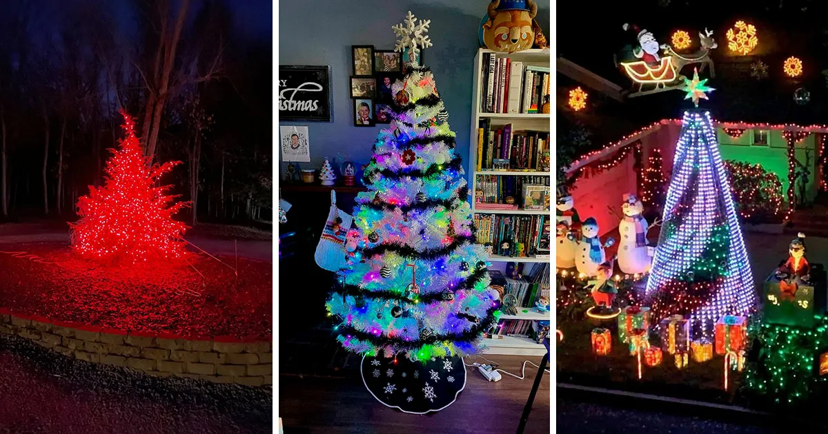 Creative Ways To Brighten Your Holidays With Christmas Tree Lights