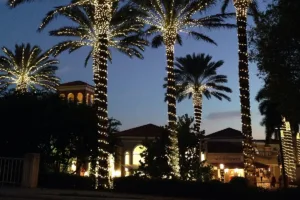 Palm Tree Lighting Styles Outdoor Christmas Charm