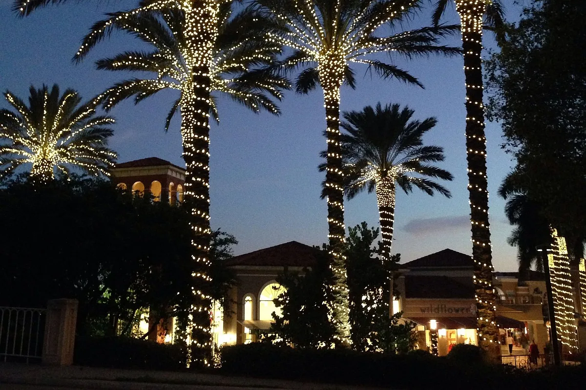 Palm Tree Lighting Styles: Outdoor Christmas Charm