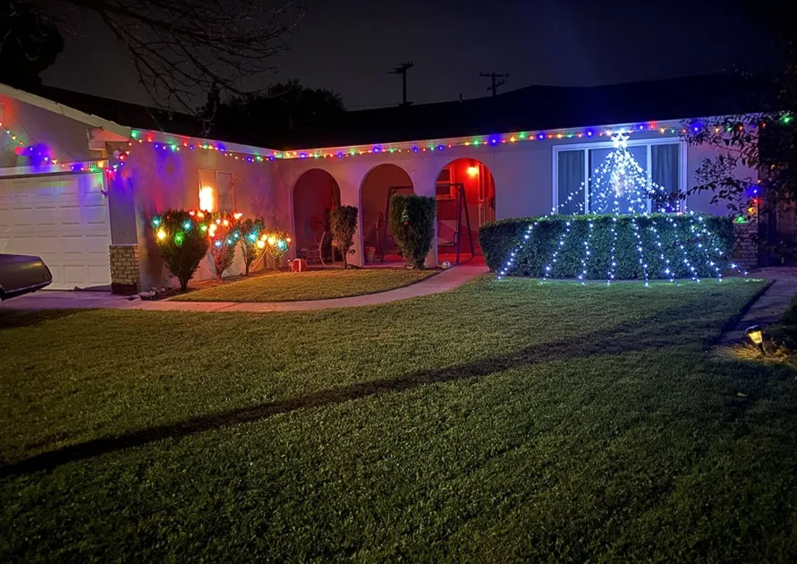 Christmas Yard Decorations String Lights Colorful And Plant Led Lights