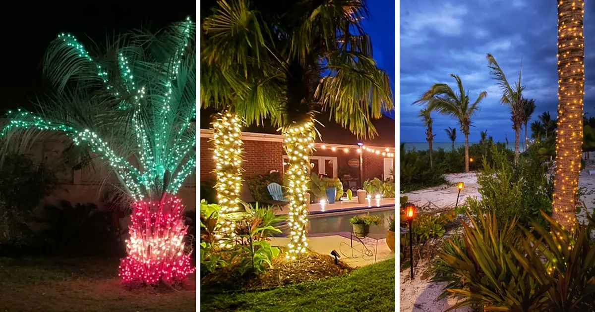 Holiday Oasis Decorating With Christmas Light Palm Trees