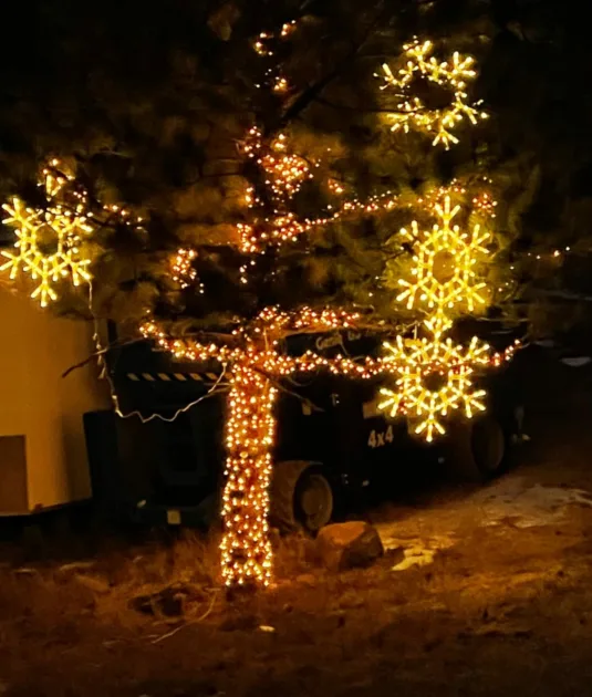 Warm Ledlights Hanging Tree Dark Night Outdoors Angle View Snowflake Christmas Lights